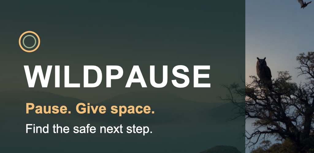 WildPause feature artwork with a distant owl in a mountain landscape